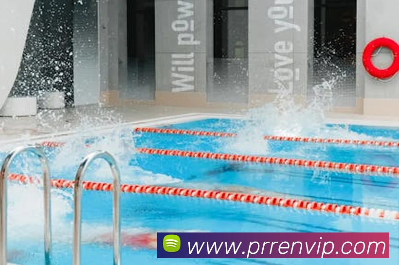 世界杯app官网平台生态图